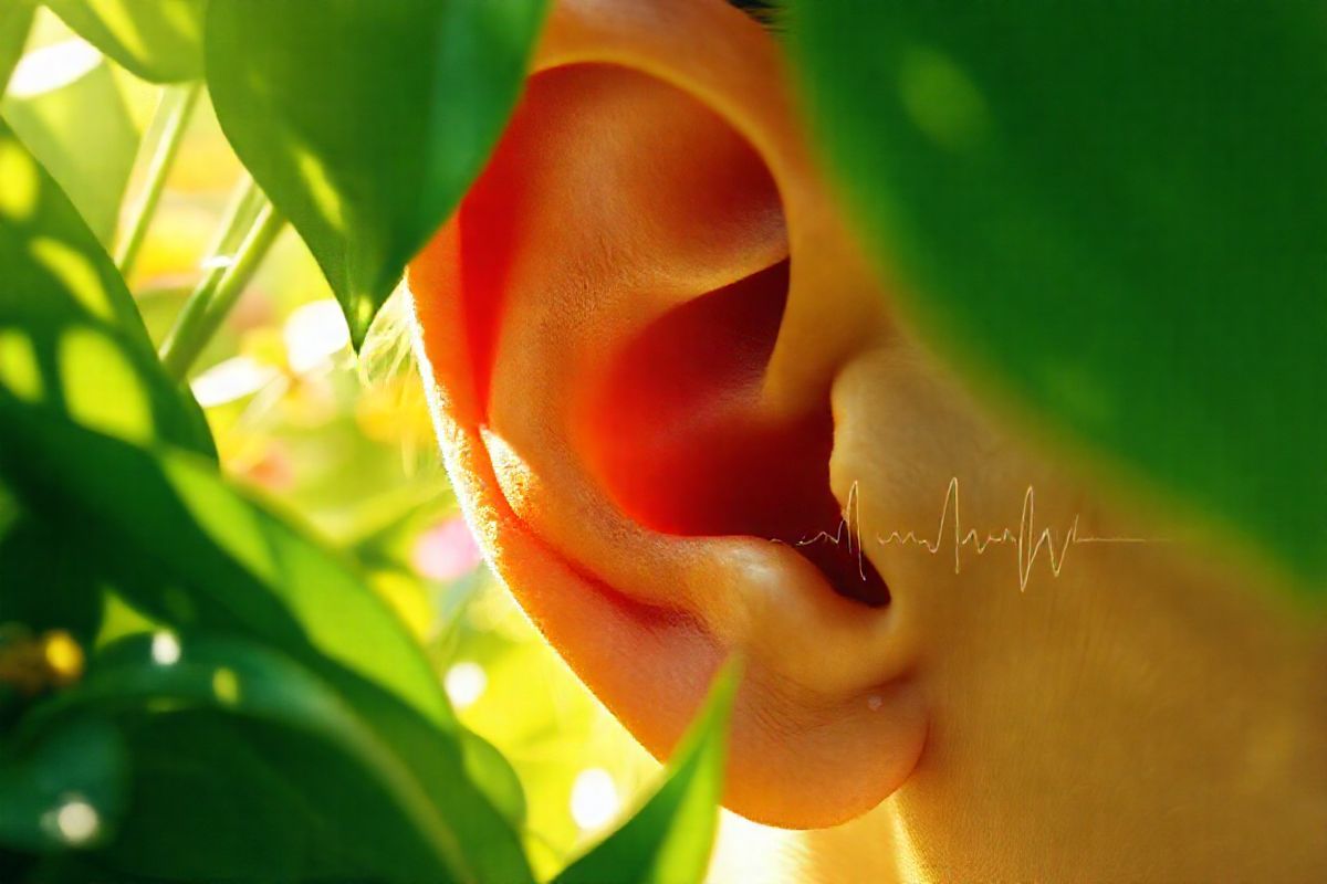 A serene and inviting scene showcasing a close-up of an ear surrounded by lush, green foliage, symbolizing the connection between nature and auditory health. The ear is depicted with exquisite detail, highlighting the delicate curves and textures of the outer ear, while soft sunlight filters through the leaves, creating a warm, dappled effect on the skin. In the background, hints of vibrant flowers and gentle, flowing water can be seen, evoking a sense of tranquility and harmony. Subtle visual cues like a faint sound wave pattern can be incorporated into the flowing water to symbolize the concept of sound and tinnitus. The overall color palette consists of calming greens, soft yellows, and hints of blues, creating an atmosphere of peace and wellness. This image captures the essence of auditory health, emphasizing the importance of a serene environment in managing conditions like tinnitus, while also subtly referencing the detrimental effects of smoking on hearing. The photorealistic quality ensures that every detail, from the glimmer of water droplets to the softness of the ear, draws the viewer in, inviting them to reflect on the intricate relationship between health and the natural world.